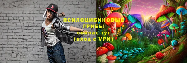гашиш Инта