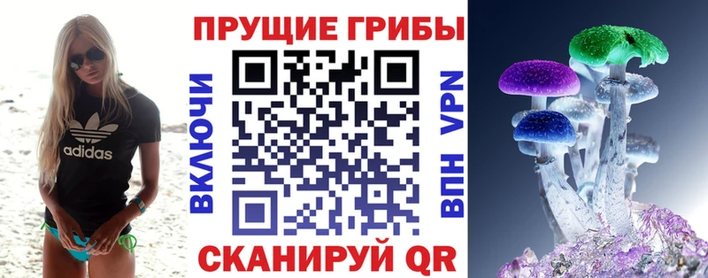 Купить  Вуктыл  Псилоцибиновые грибы Cubensis 